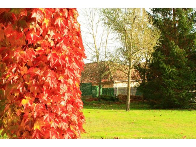 Chalet en Urbanización Zelandía, Nº 11, foto 4