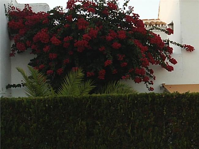 Chalet en Urbanización Urb. Pueblo Andaluz Doñana, Nº 70, foto 9