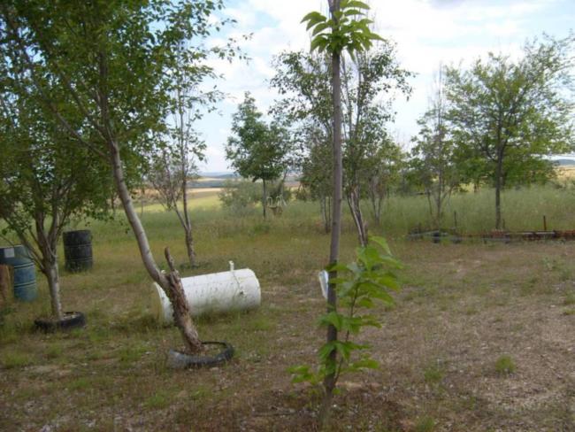 Chalet en Jardin de Serracines, foto 6