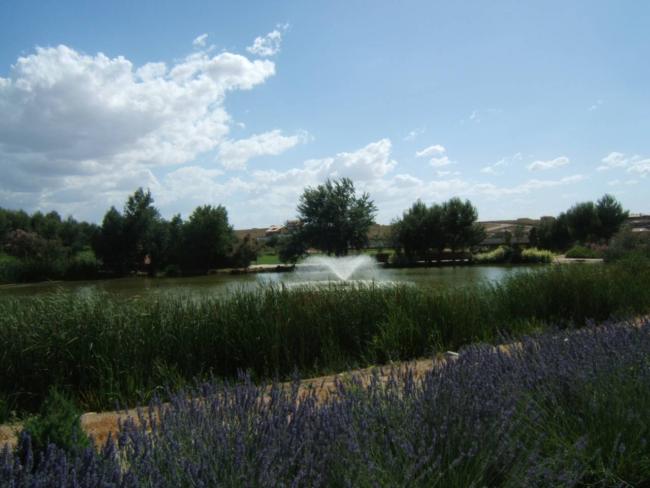 Terreno en Campo de Golf, foto 2