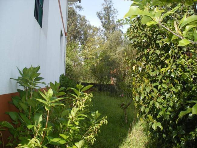 Casa en Periferia, foto 5