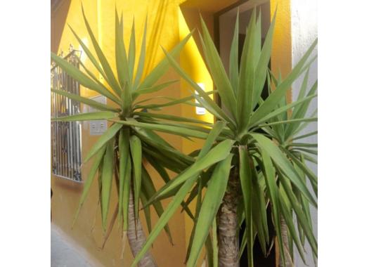 Apartamento en alquiler en Málaga