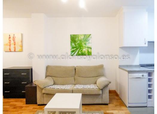 Apartamento en alquiler en Oviedo