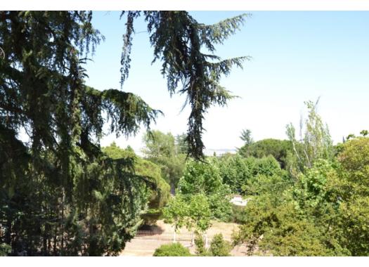 Chalet en alquiler en Madrid