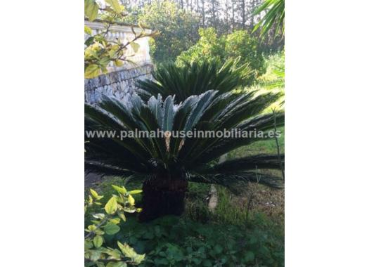 Chalet en alquiler en Palma de Mallorca