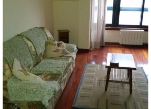 Apartamento en alquiler en Pontevedra