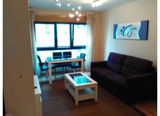 Apartamento en alquiler en Pontevedra