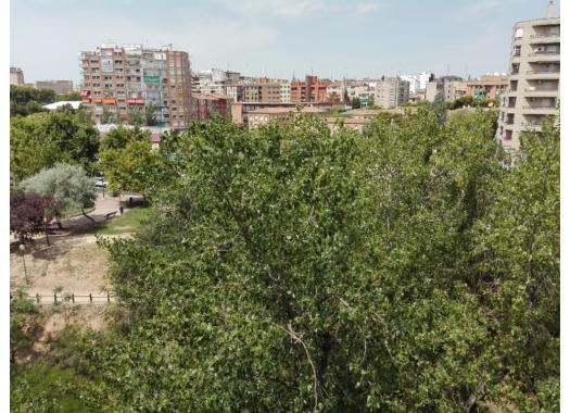 Piso en alquiler en Zaragoza
