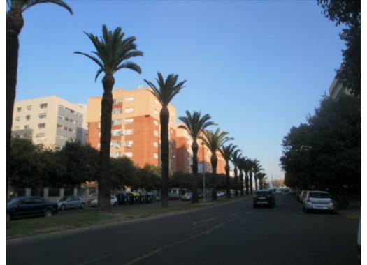 Piso en alquiler en Badajoz