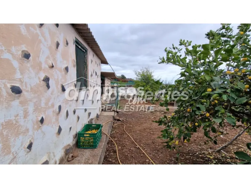 Finca R Stica En Venta En Vera De Erques En Gu A De Isora Por