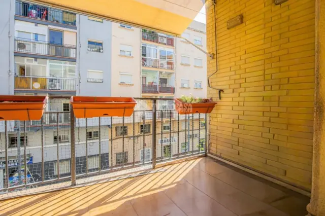 Apartment in Can Mas photo 3