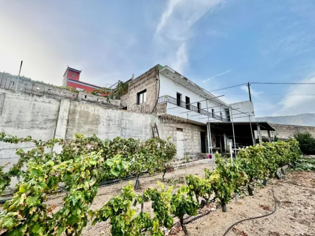 Rustic house in Arafo