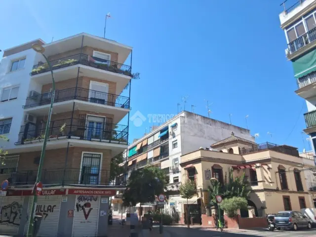 Single-family home in León XIII-Cruz Roja photo 4