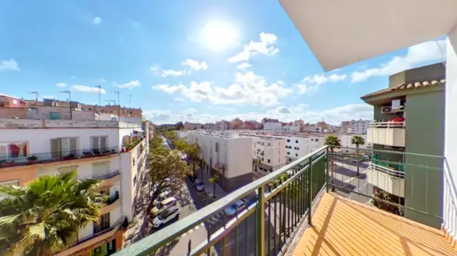 Apartment in Es Camp Redó photo 33