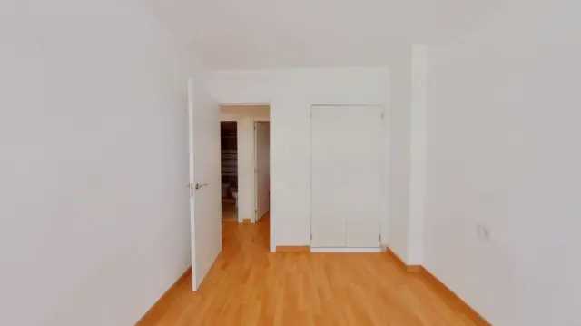 Apartment in Nou Llevant photo 16