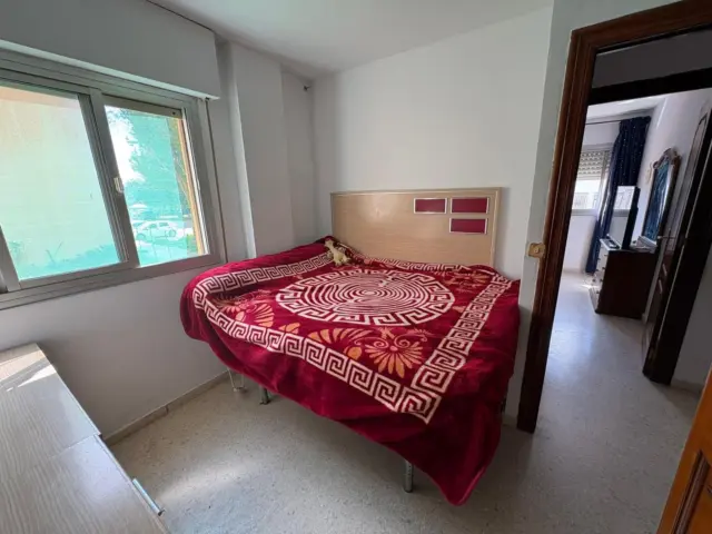 Apartment in San Bernabé photo 22