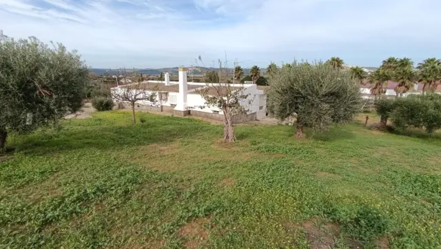 Rustic Finca in Andalucia