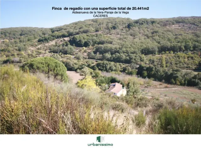 Finca rústica en Avenida de España, 1 photo 44