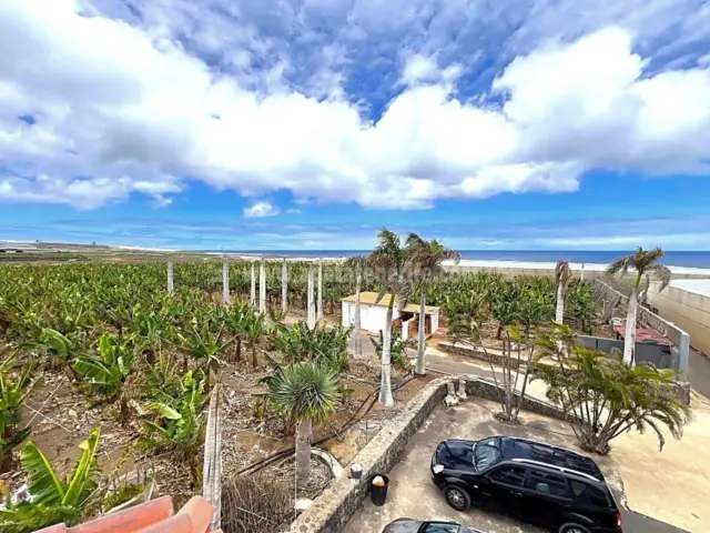 Rustic Finca in Tenerife North photo 5
