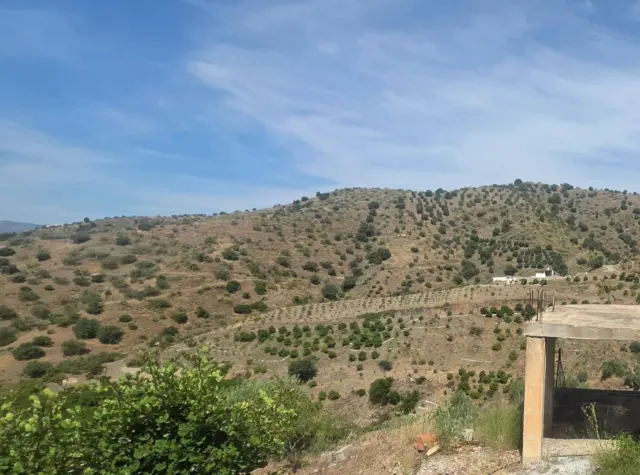 Rustic Finca in South Of Spain