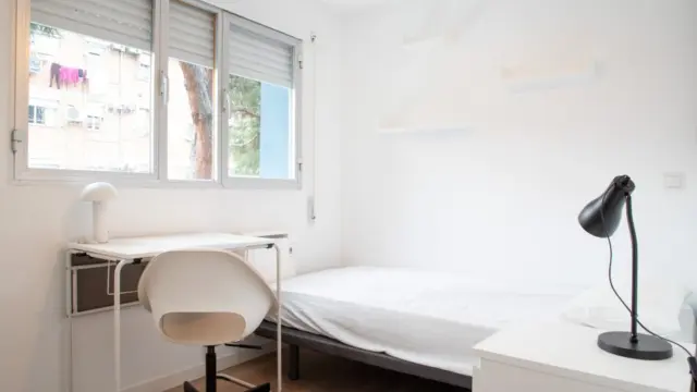 Apartment in Buenavista photo 13