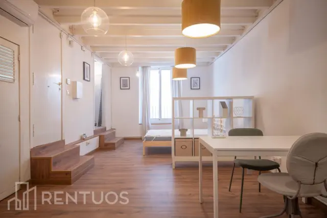 Estudio en alquiler en Carrer de Ferran, cerca de Carrer de l' Arc de Santa Eulàlia - Imagen 21