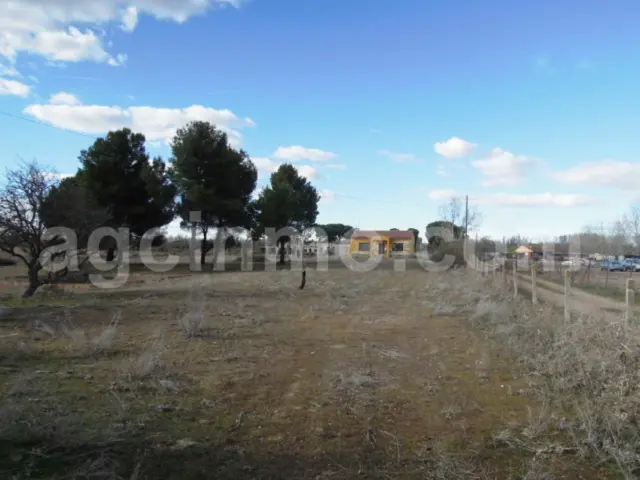 Rustic farm on Camino de La Vega street, no. 2