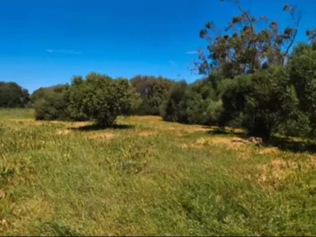 Rustic Finca in Manzanete