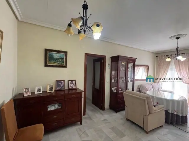 Apartment in the Centre
