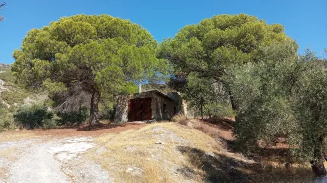 Rustic Finca in Pago Romeral