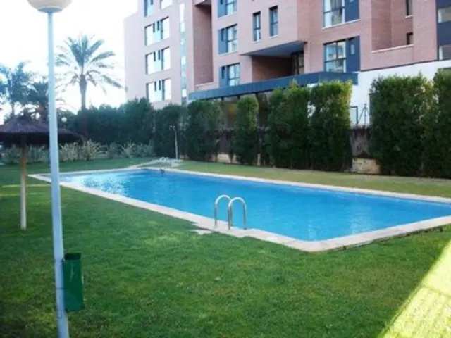 Apartment on Calle del Terrateig photo 6