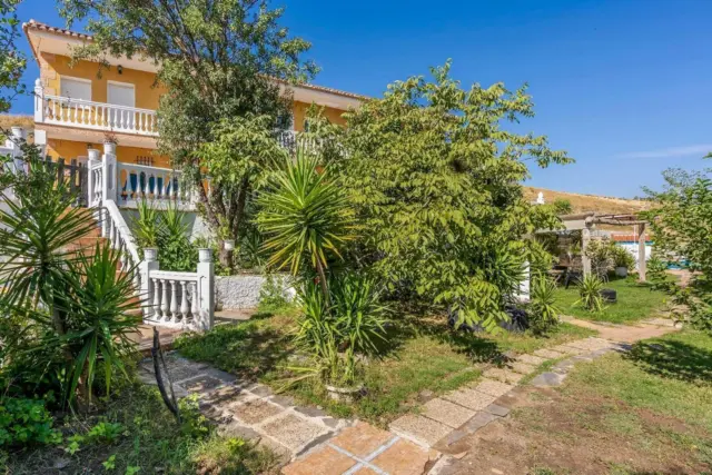 Rustic Finca on Camino de los Molinos