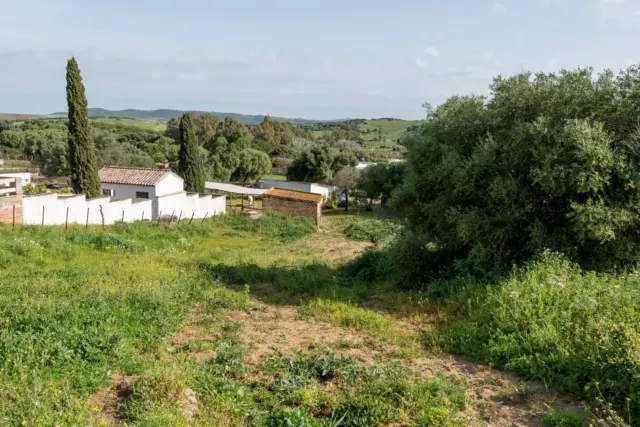 House in Barbate