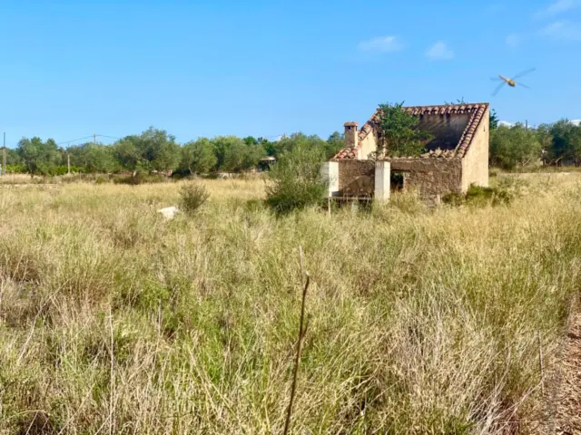 Finca rústica en Barranc de Lledo