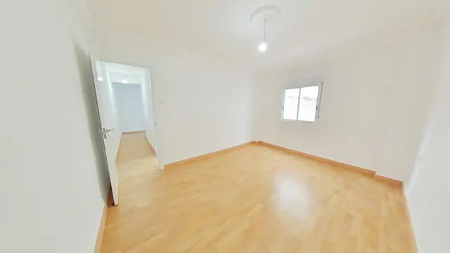 Apartment in L'Hort de Senabre photo 16