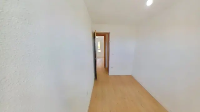 Apartment in Amposta photo 19