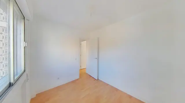 Apartment in Centro photo 8