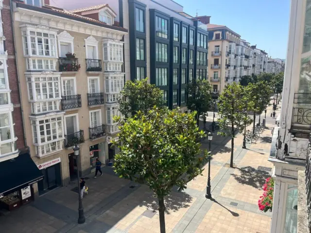 Apartment on Eduardo Dato Street photo 2