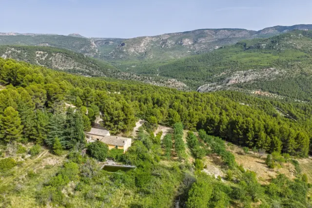 Finca rústica en calle de Moratalla Sabinar