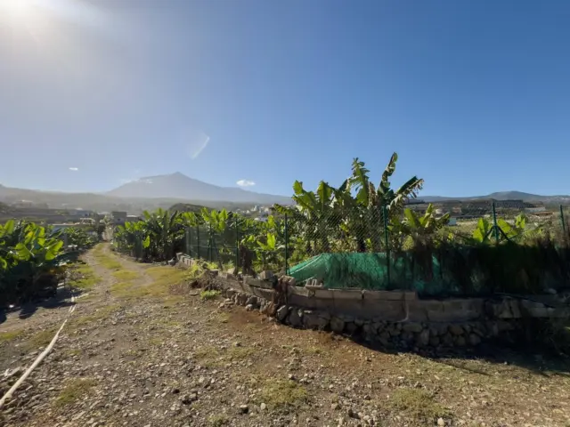 Rustic Finca in Santo Domingo, Tenerife