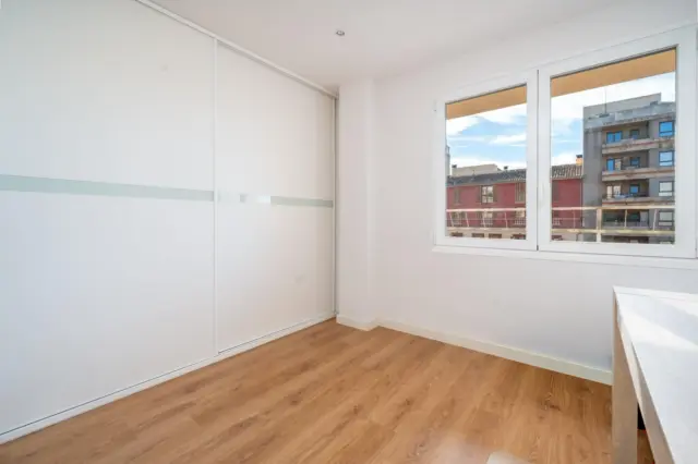 Apartment on Avinguda de Gabriel Alomar photo 23