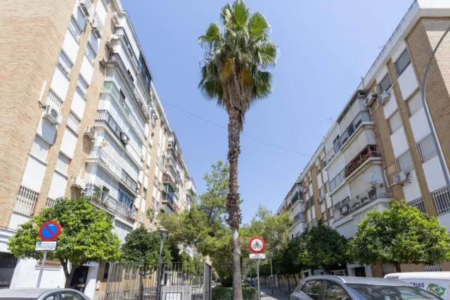 Piso en calle Primavera, 14