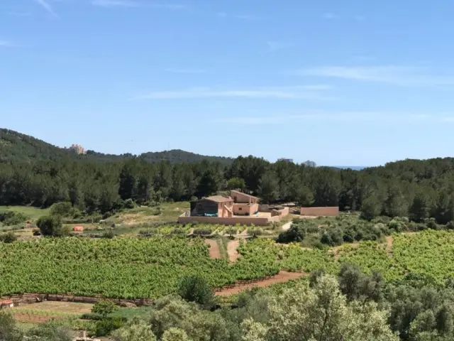 Rustic Finca in Can Lloses - Valles Altos