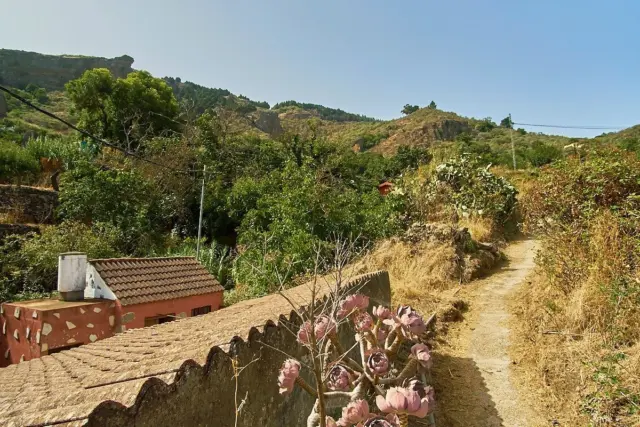 Finca rústica en calle 14 Parcela 835