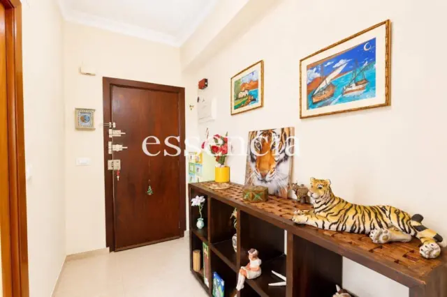Apartment in Grao de Gandia photo 24