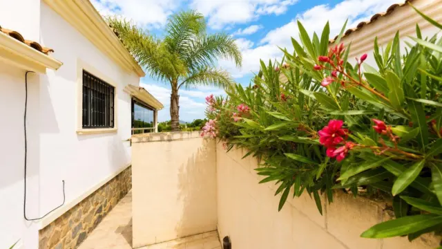 Chalet in La Marina photo 26