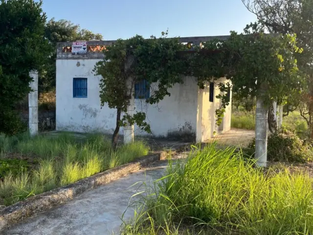 Rustic finca on Calle Sorell photo 10