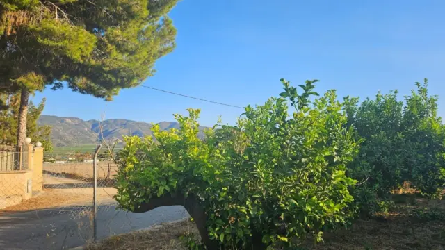 Rustic Finca in Librilla