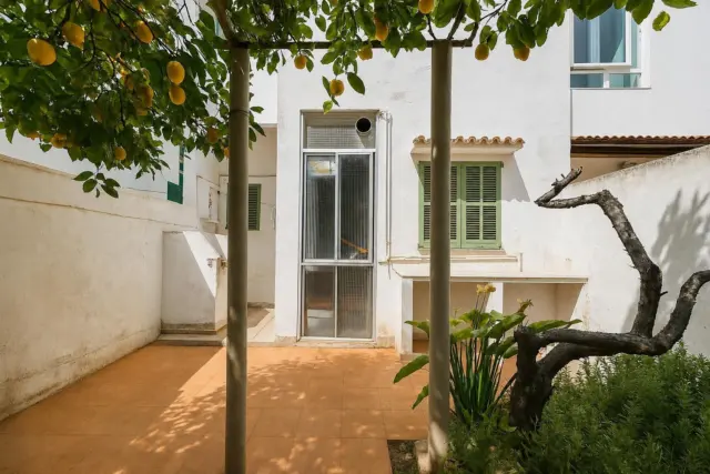 Ground floor apartment on Carrer de Joan Estelrich, Artigues photo 4