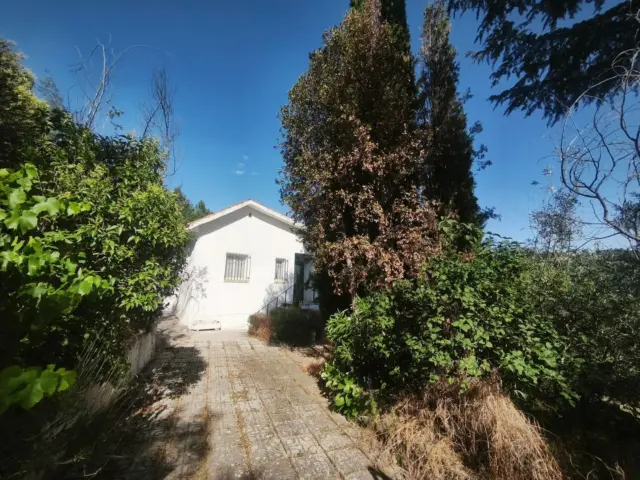 Chalet on Narcisos Street